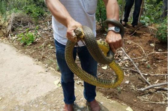 豫韵悠长，河南传统服饰演绎者的舞台独白