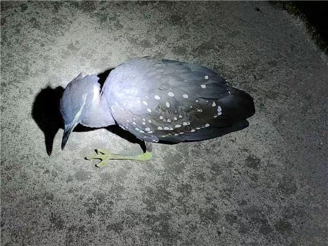 海南，热带风情与人文魅力深度解析